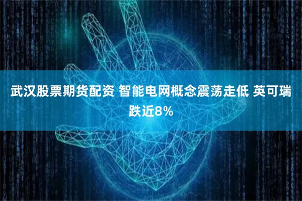 武汉股票期货配资 智能电网概念震荡走低 英可瑞跌近8%