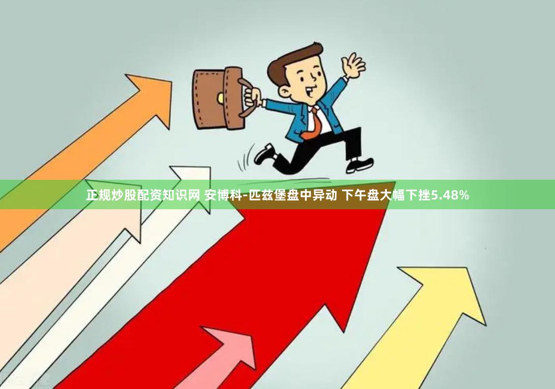 正规炒股配资知识网 安博科-匹兹堡盘中异动 下午盘大幅下挫5.48%