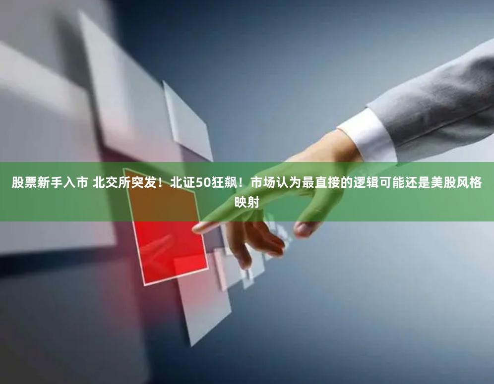 股票新手入市 北交所突发！北证50狂飙！市场认为最直接的逻辑可能还是美股风格映射