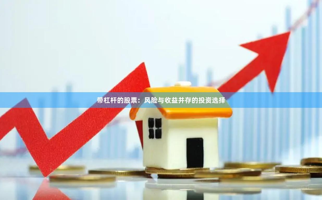带杠杆的股票：风险与收益并存的投资选择
