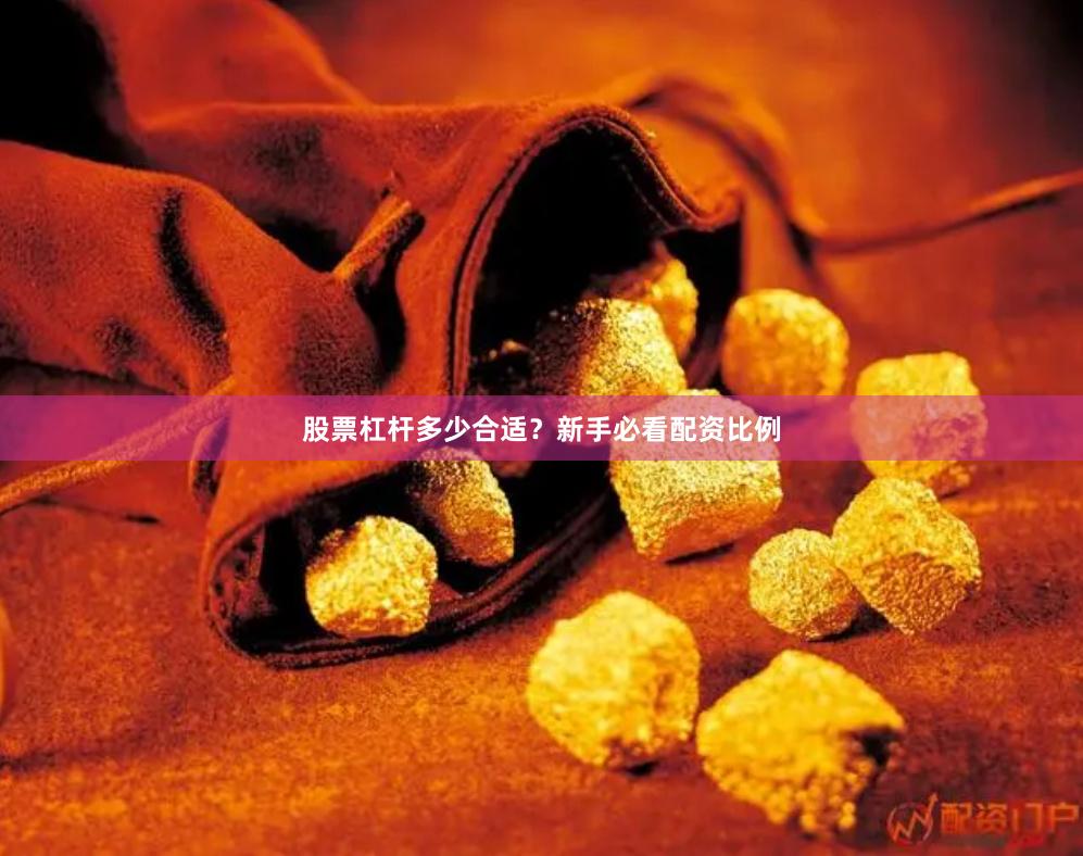股票杠杆多少合适？新手必看配资比例