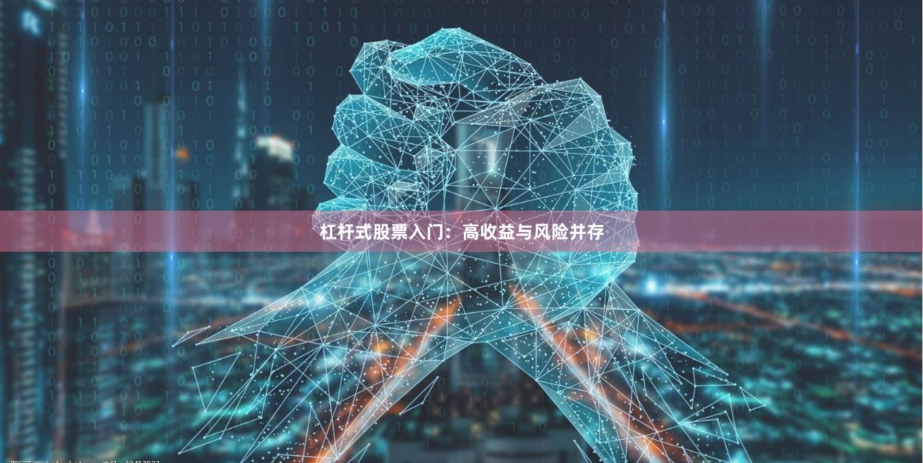杠杆式股票入门：高收益与风险并存